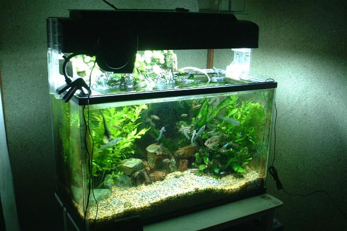 Chỉ quan tâm tới việc tiết kiệm điện cho máy lạnh, tủ lạnh