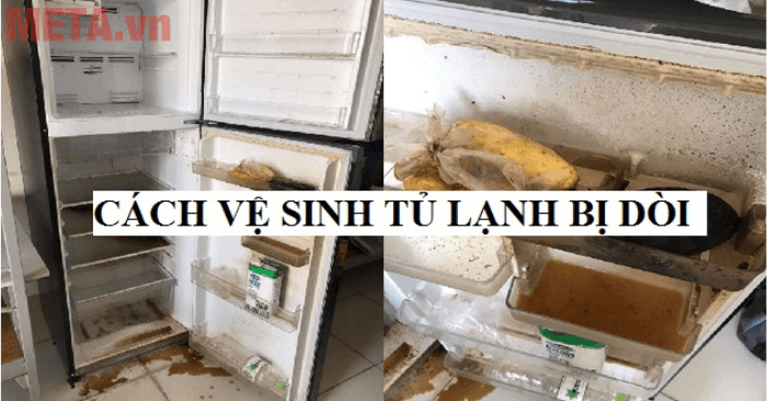 Mách Bạn 6 Bước Làm Sạch Tủ Lạnh Khi Có Dòi – Sạch Mùi, Diệt Khuẩn, An Toàn - Gợi ý Kithome