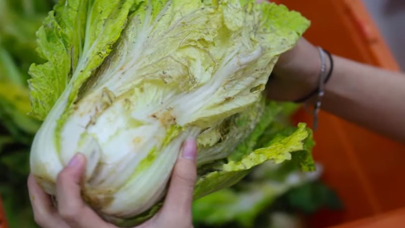 Loại bỏ phần hỏng của rau