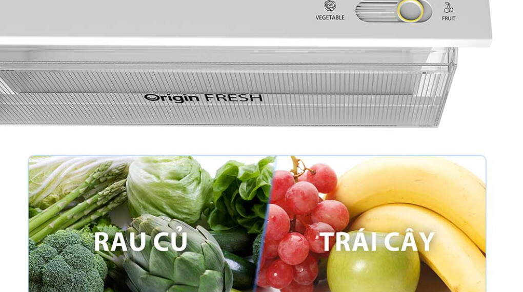 Tủ lạnh Toshiba inverter GR-RT559WE-PMV(58)-MM sự lựa chọn hoàn hảo cho không gian bếp hiện đại