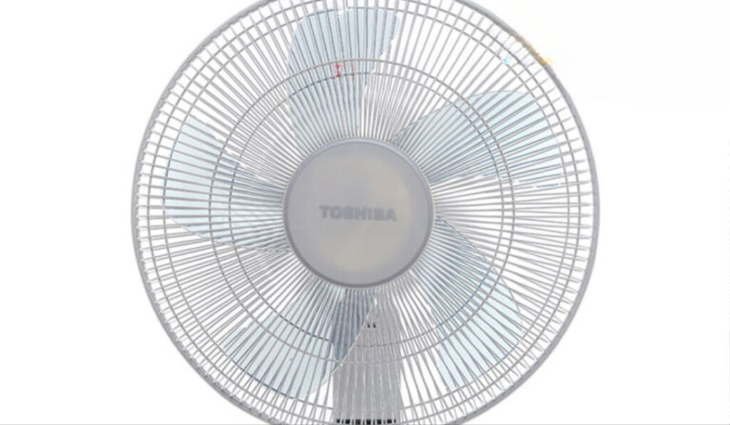 Quạt cây Toshiba phù hợp hơn 