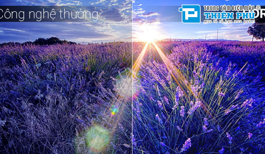 Smart Tivi Samsung 55 Inch 4K UHD UA55AU7700KXXV