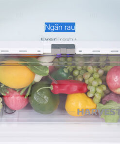 Tủ lạnh 2 cánh Beko inverter 340 lít RDNT371E50VZGB