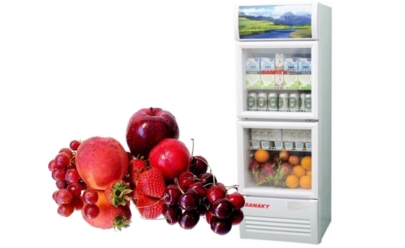Hướng dẫn sử dụng tủ mát Sanaky và các lưu ý khi sử dụng tủ an toàn, hữu ích nhất 2025