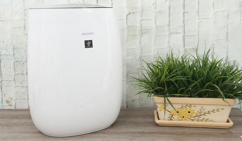 Khám phá công nghệ Plasmacluster ion trên máy lọc không khí Sharp
