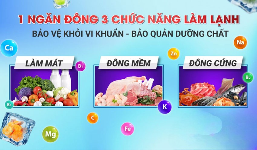 Tủ đông Sanaky VH-1199HY4K phù hợp với ai? Tủ đông Sanaky VH-1199HY4K phù hợp với ai?