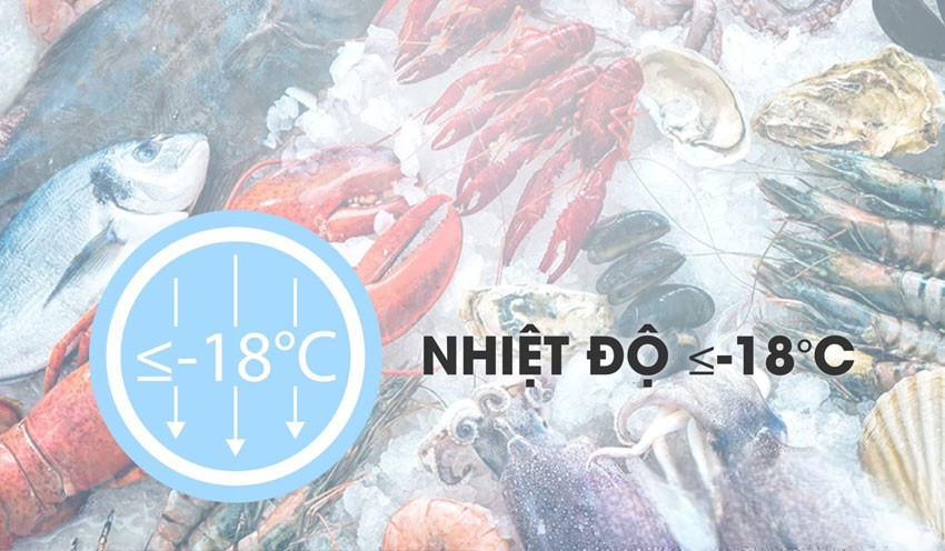 Độ bền của dàn lạnh và máy nén Sanaky