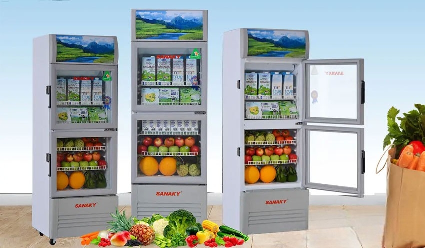 Những lỗi thường gặp sau thời gian dài sử dụng tủ mát Sanaky