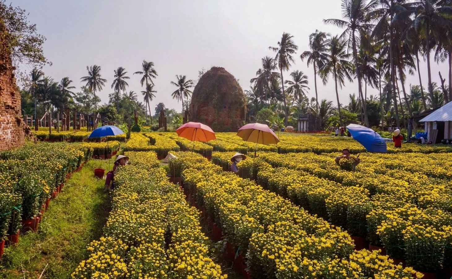 Địa điểm du lịch Tết - Bến Tre Địa điểm du lịch Tết - Bến Tre