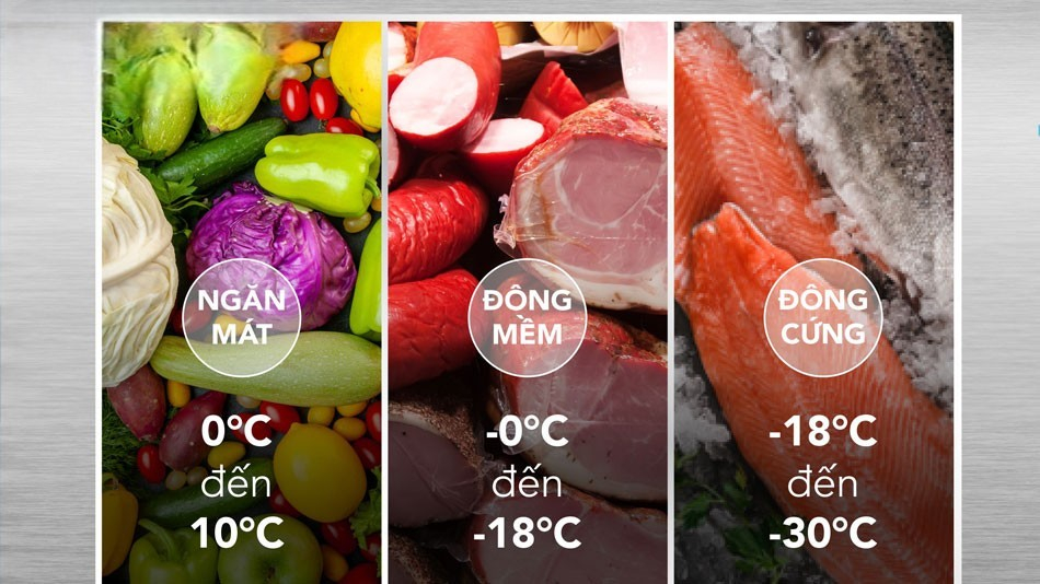 Đánh giá khả năng làm lạnh của tủ đông Hòa Phát HSF AD8357.C1 Đánh giá khả năng làm lạnh của tủ đông Hòa Phát HSF AD8357.C1