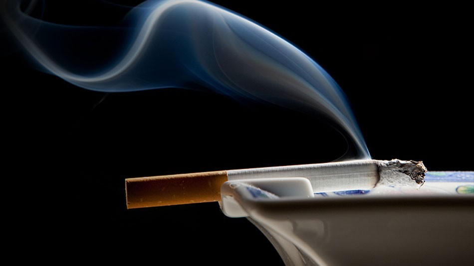 Khả năng khử mùi ẩm mốc của S-1821PF3H có thực sự hiệu quả?