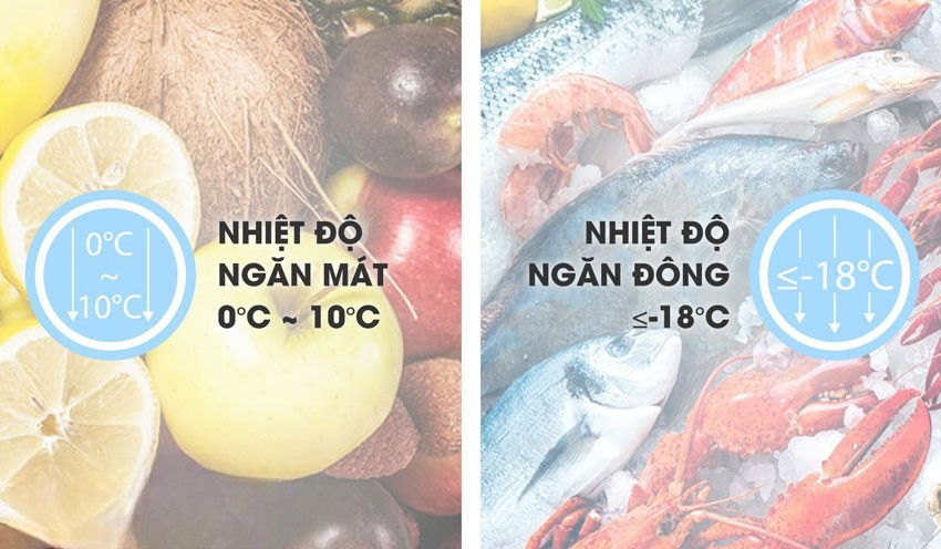 Sanaky VH-2599W4KD được trang bị môi chất lạnh R600a Sanaky VH-2599W4KD được trang bị môi chất lạnh R600a