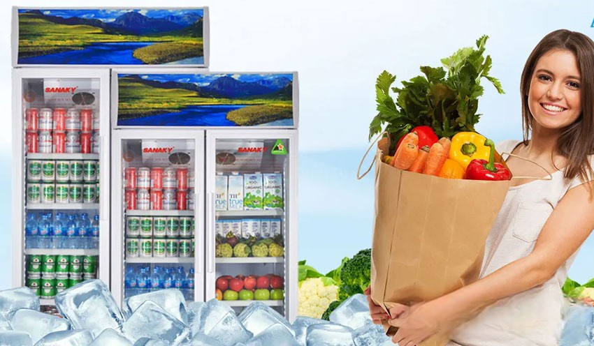 Tổng quan về tủ mát Sanaky Inverter 2 cánh VH-8009HP3 Tổng quan về tủ mát Sanaky Inverter 2 cánh VH-8009HP3