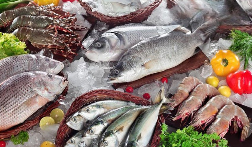 Chuẩn bị dụng cụ vệ sinh tủ đông Sanaky